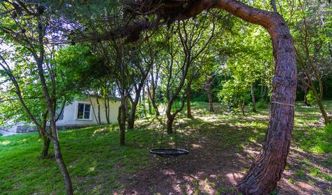 База отдыха Пальмира. Сочи, Магри