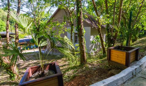 База отдыха Пальмира. Сочи, Магри