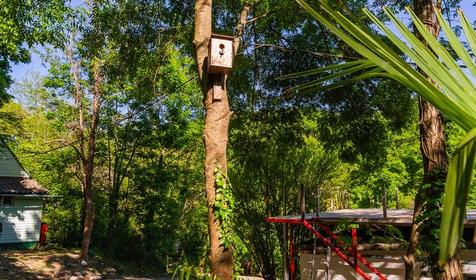 База отдыха Пальмира. Сочи, Магри