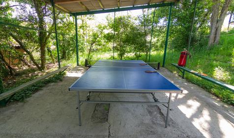 База отдыха Пальмира. Сочи, Магри