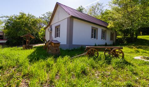 База отдыха Пальмира. Сочи, Магри