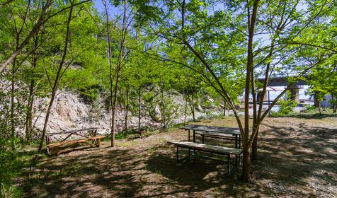 База отдыха Пальмира. Сочи, Магри