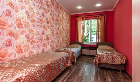 Комфорт. База отдыха Пальмира. Сочи, Магри