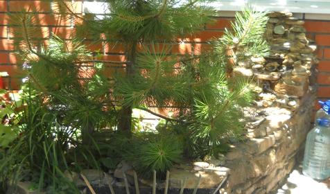 На Морской 200