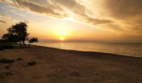 Темрюкский район, ст. Голубицкая (май, 2019 год)