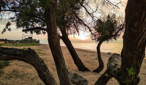 Темрюкский район, ст. Голубицкая (май, 2019 год)