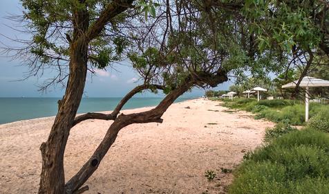 Темрюкский район, ст. Голубицкая (май, 2019 год)