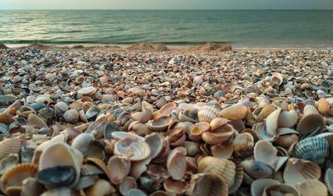 Темрюкский район, ст. Голубицкая (май, 2019 год)