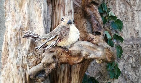 Гостевой дом На Приморской, Туапсе, Ольгинка