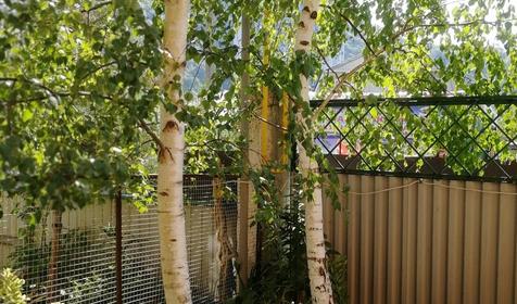 Гостевой дом На Приморской, Туапсе, Ольгинка