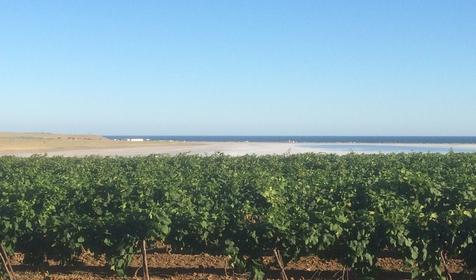 Соленое Озеро