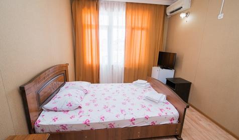 Стандарт двухместный двухместный, гостевой дом АЛЕНА, г. Сочи, Адлерский р-н