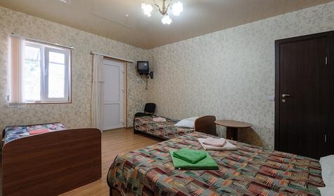 Четырехместный однокомнатный с кухней №8