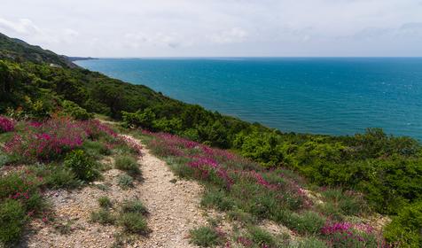 Анапа, п. Сукко