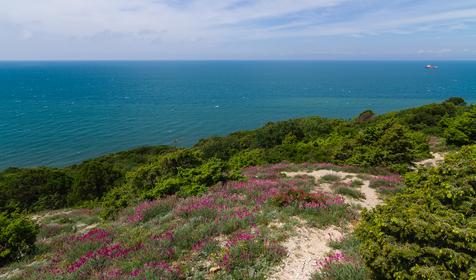 Анапа, п. Сукко