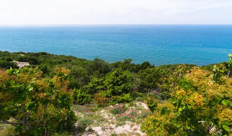 Анапа, п. Сукко