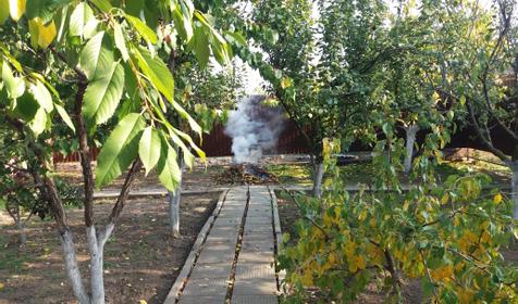 Гостевой дом Елена. Ейск, Широчанка