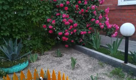 На Чапаева 4б