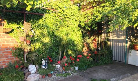 На Чапаева 4б