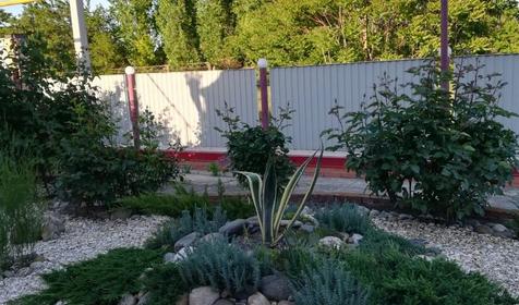 На Чапаева 4б