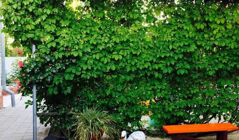 На Чапаева 4б