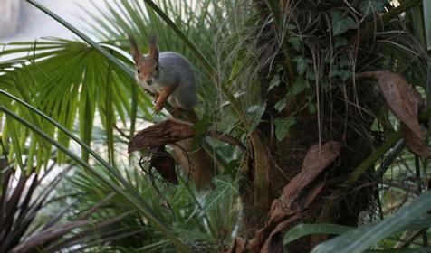 Санаторий Лазаревское, Сочи, п. Лазаревское