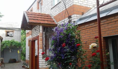 Золотая рыбка