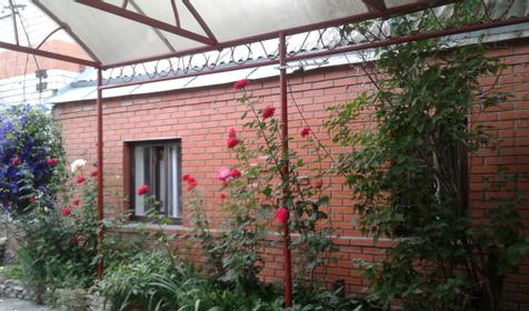 Золотая рыбка