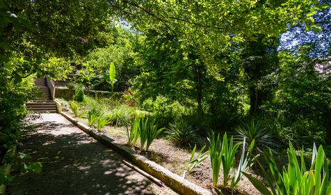 Гостевой дом Лесная прохлада, Туапсе