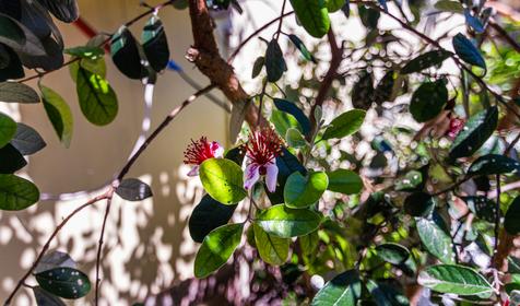 Поселок Лазаревское