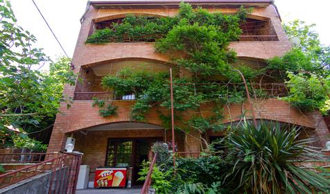 Лесная прохлада