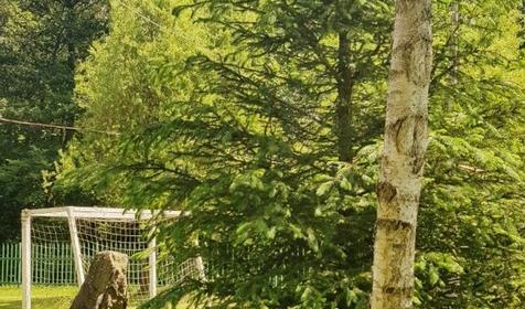 Гостевой дом Малая Лаба