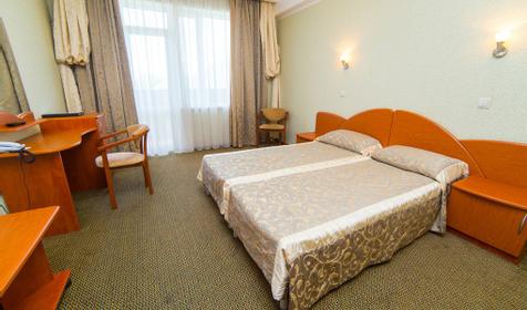 Бизнес-стандарт. Отель Альмира. Сочи, Адлер