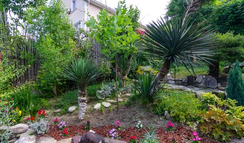 Гостевой дом Ардо, Туапсе, Небуг