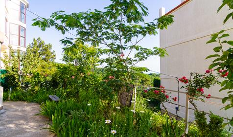 Гостевой дом Дельфин, Туапсинский р-н, пос. Новомихайловский