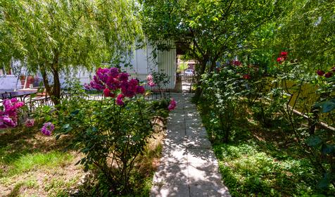 Отель Симба. Туапсе, Лермонтово