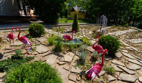 Оздоровительный комплекс Чайка, Туапсинский район, п. Лермонтово