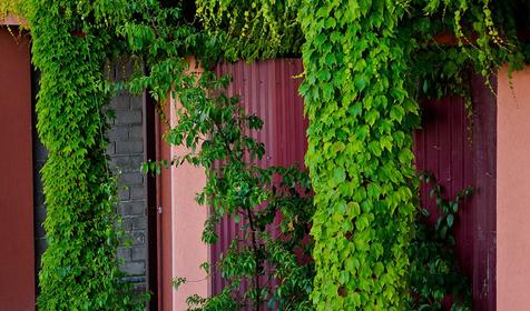 Частная гостиница Вишера, Сочи, Вардане