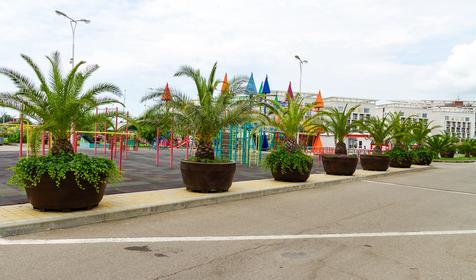 Адлерский район, Сочи