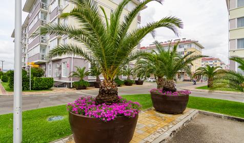 Адлерский район, Сочи