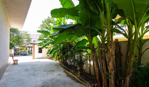 Гостевой дом Аленочка, г. Сочи, п. Якорная Щель