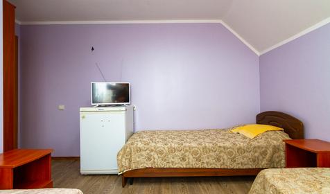 Трехместный эконом с доп.местом. Гостевой дом Андронник, Сочи