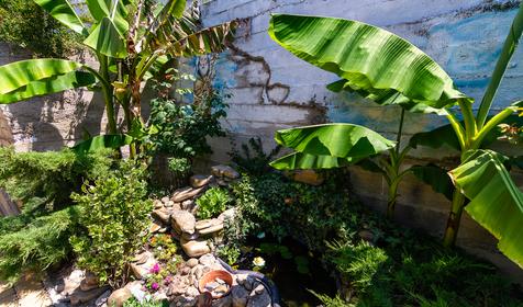 Гостевой дом Мирель, Сочи, Аше