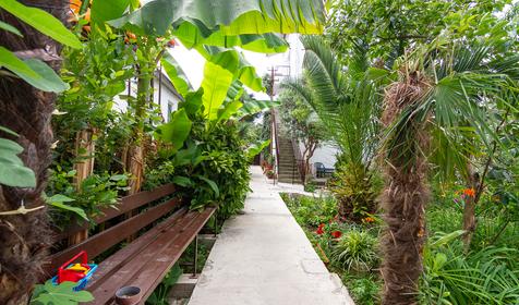 Гостевой дом Светлана, Сочи, Адлер