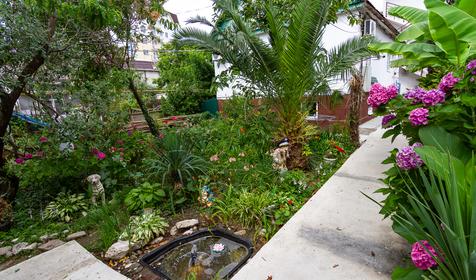 Гостевой дом Светлана, Сочи, Адлер