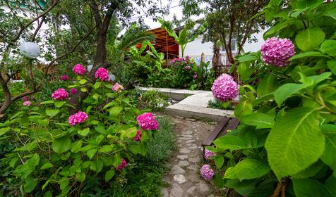 Гостевой дом Светлана, Сочи, Адлер