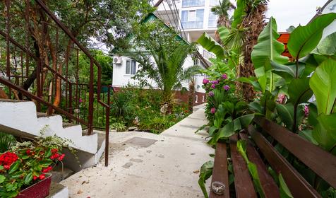 Гостевой дом Светлана, Сочи, Адлер