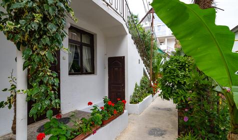 Гостевой дом Светлана, Сочи, Адлер