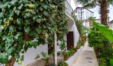 Гостевой дом Светлана, Сочи, Адлер