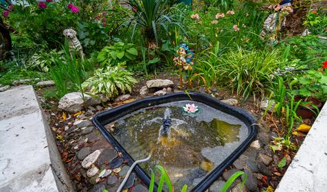 Гостевой дом Светлана, Сочи, Адлер